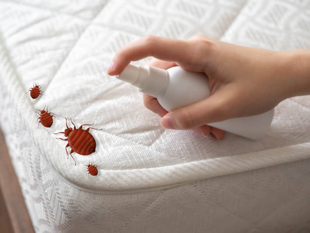 Best Pest Inspection Near Me  in Lyons, IL